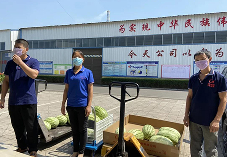 球速体育首页集团组织开展夏日送清凉系列活动